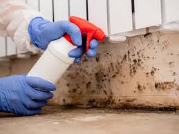 Best Air Quality Testing for Mold Spores in Canastota, NY